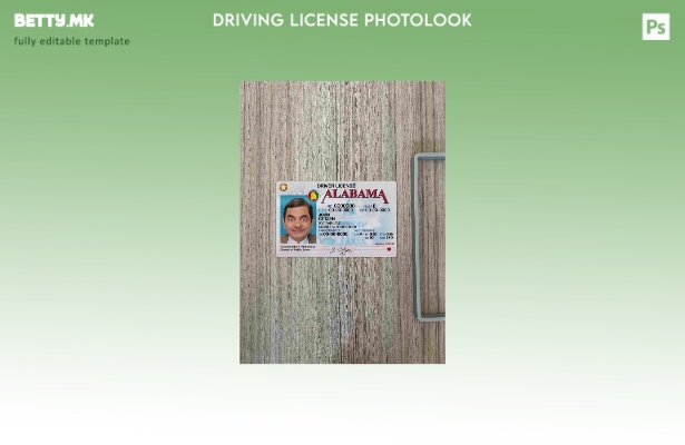 модерен стил USA Alabama DL photolook FRONT шаблон